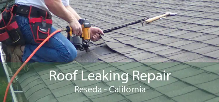 Roof Leaking Repair Reseda - California